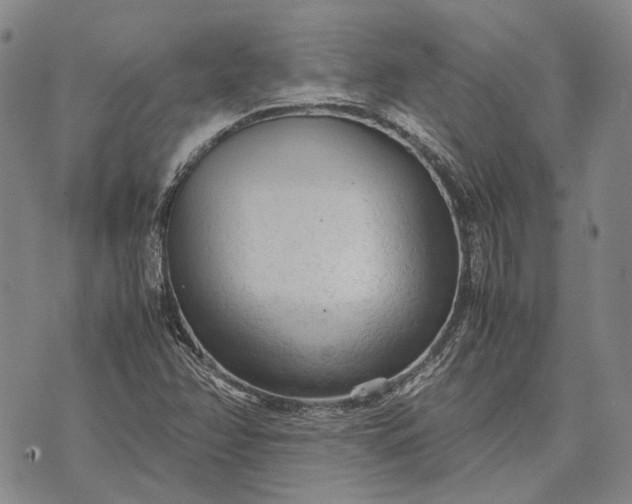 X0000070391358200606231727