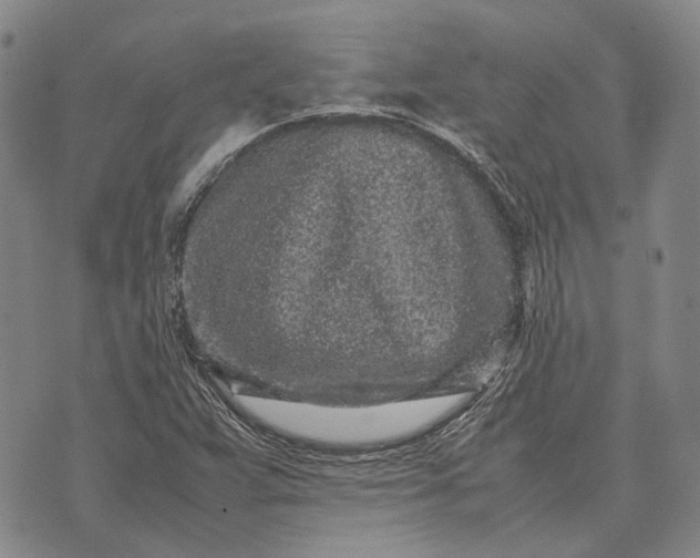 X0000070391359200606231727