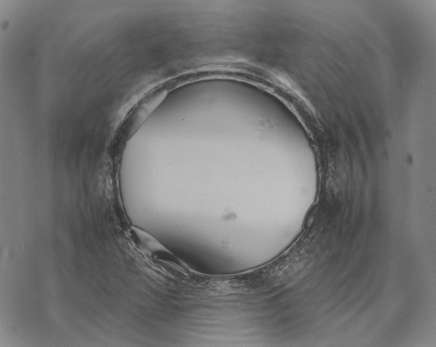 X0000070391360200606231727