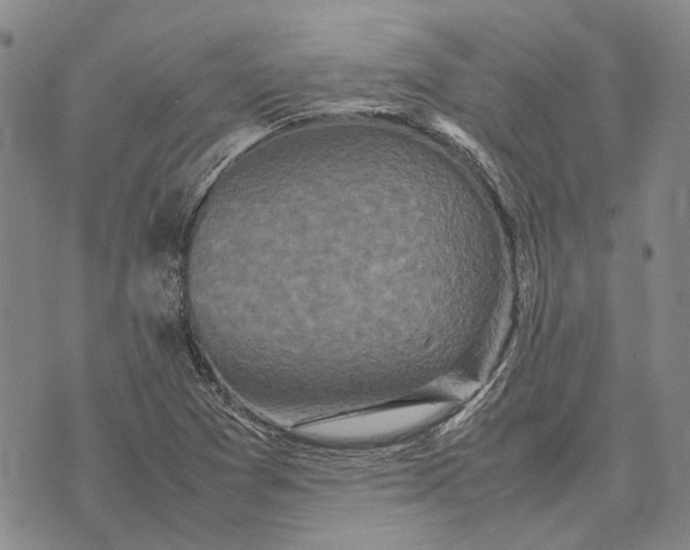 X0000070391361200606231727