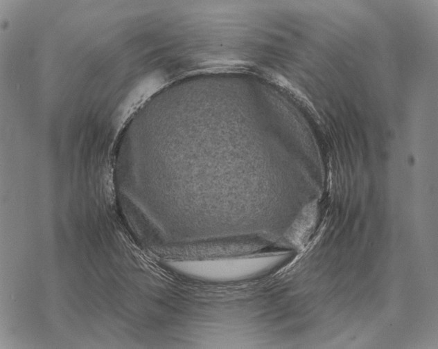 X0000070391362200606231727