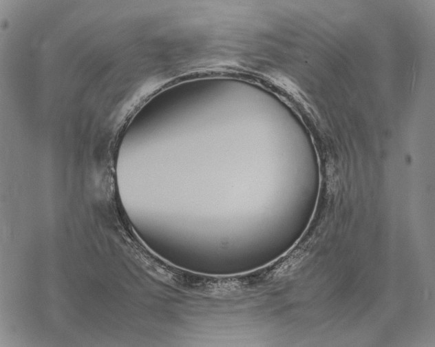 X0000070391363200606231727