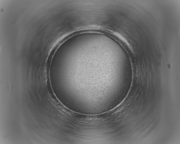 X0000070391364200606231727