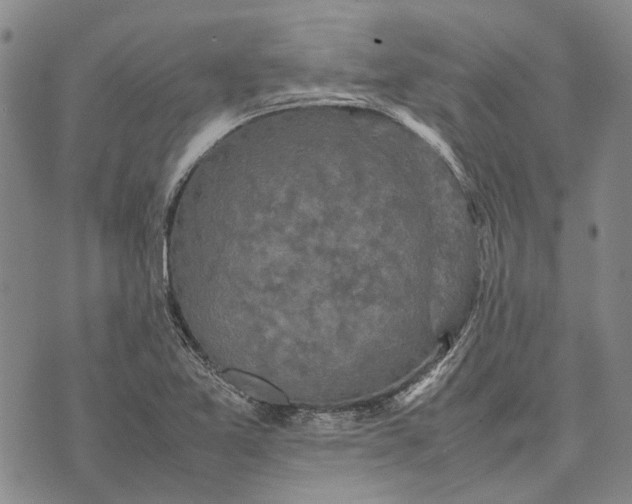 X0000070391365200606231727