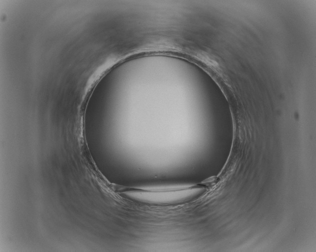 X0000070391366200606231727