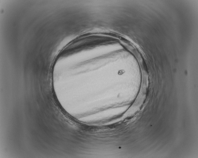 X0000070391367200606231727