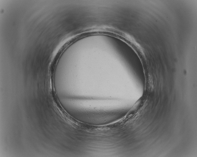 X0000070391368200606231727