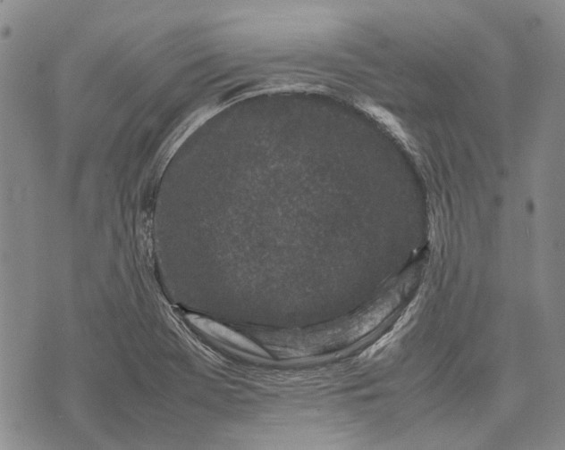 X0000070391369200606231727