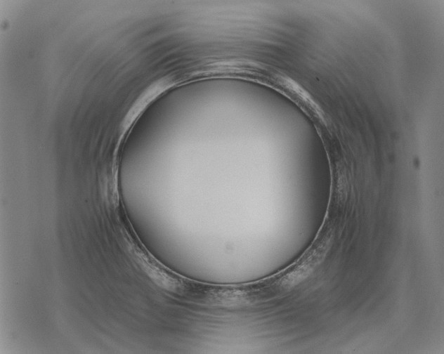 X0000070391370200606231727