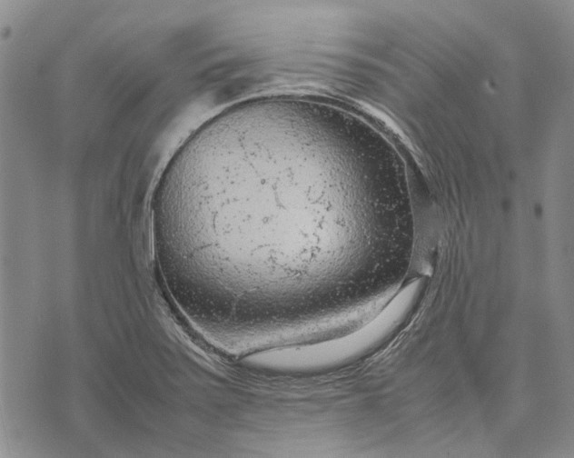 X0000070391371200606231727