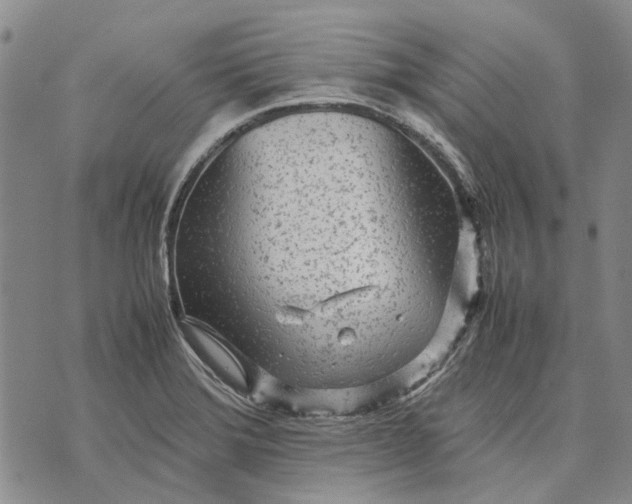 X0000070391372200606231727