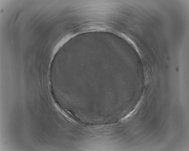 X0000070391373200606231727