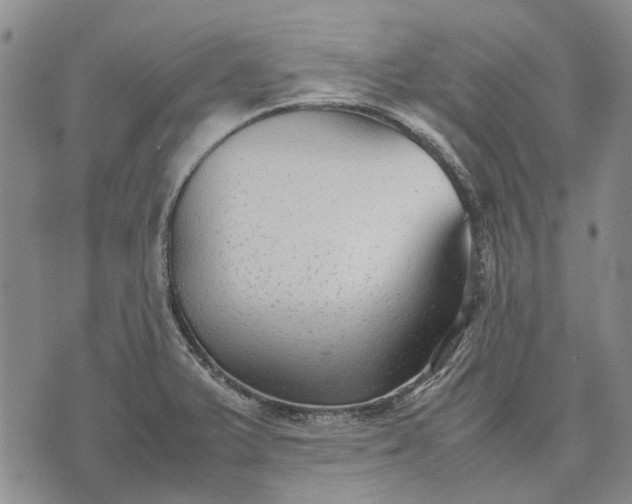 X0000070391375200606231727