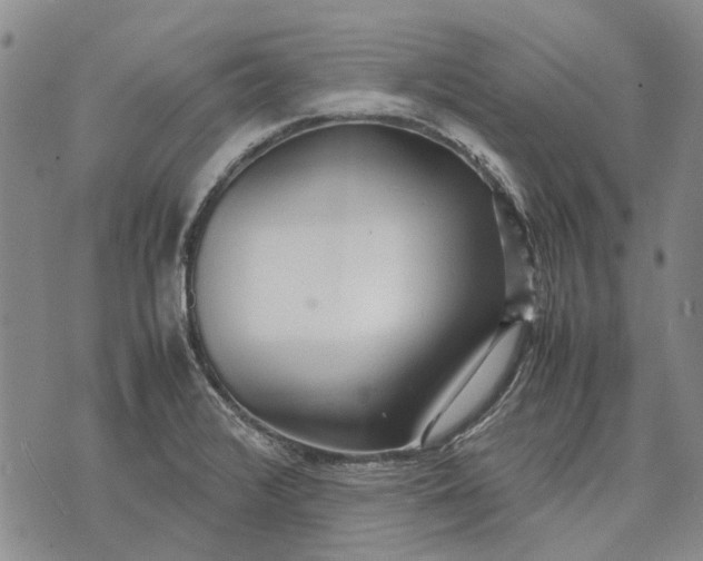 X0000070391376200606231727