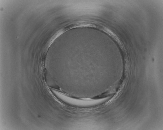 X0000070391377200606231727