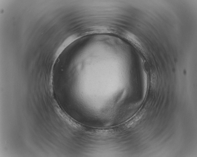 X0000070391378200606231727