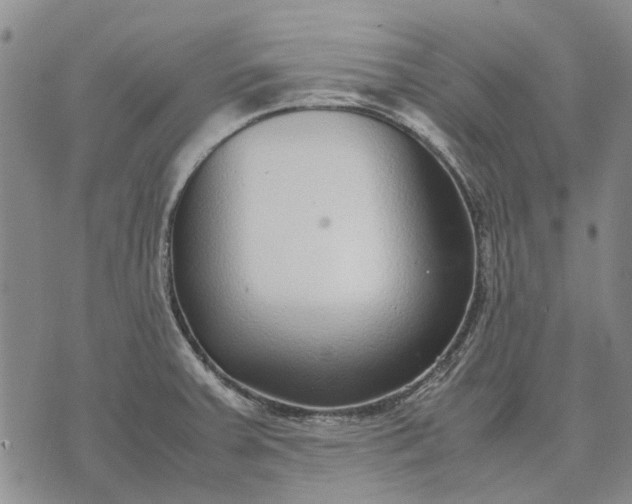 X0000070391379200606231727