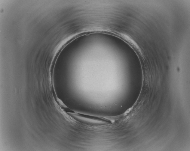 X0000070391380200606231727