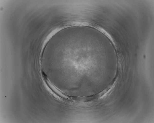 X0000070391381200606231727