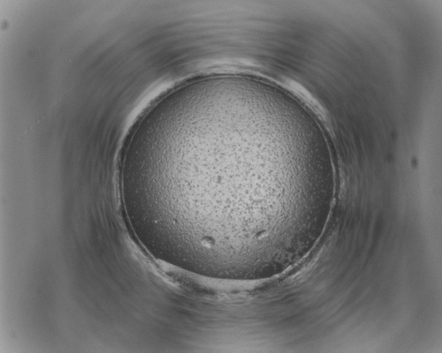 X0000070391384200606231726