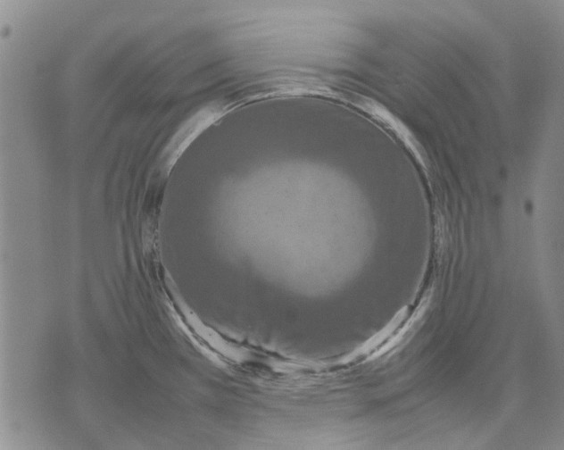 X0000070391385200606231726