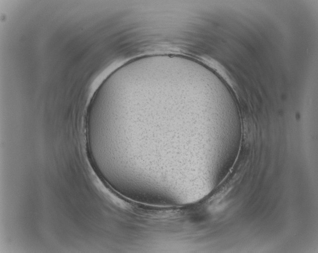 X0000070391387200606231726