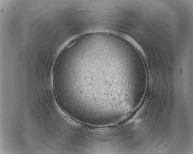 X0000070391388200606231726