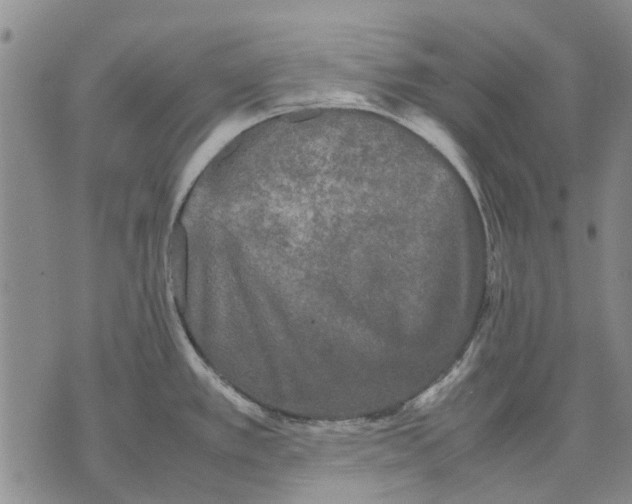 X0000070391389200606231726