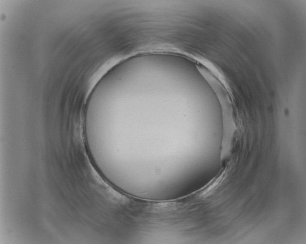 X0000070391390200606231726