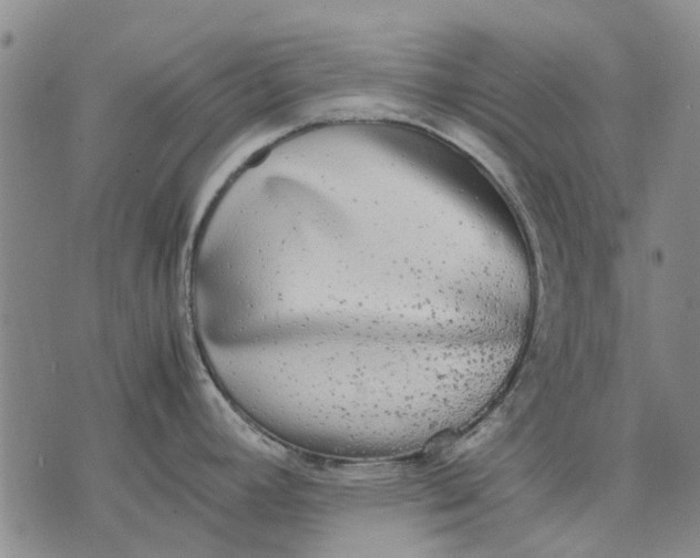 X0000070391392200606231726