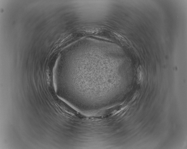 X0000070391394200606231726