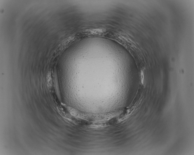 X0000070391395200606231726