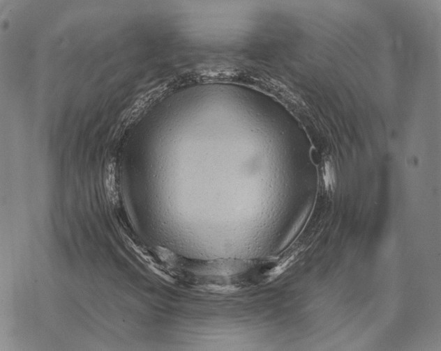 X0000070391396200606231726