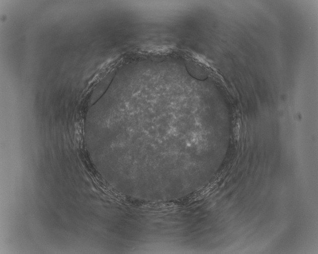 X0000070391397200606231726