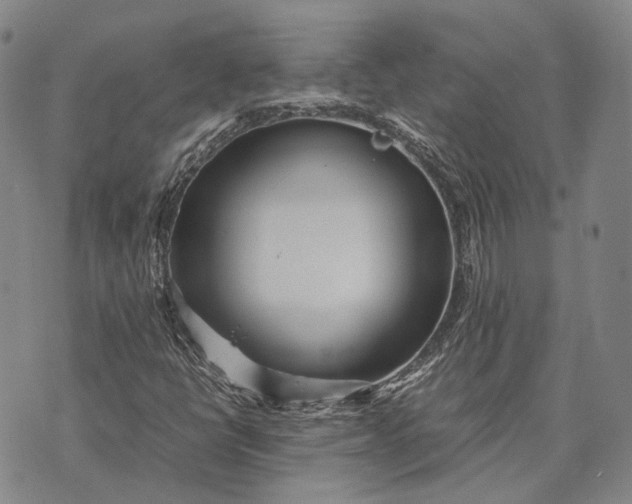 X0000070391398200606231726