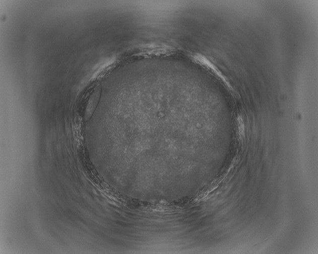 X0000070391399200606231726