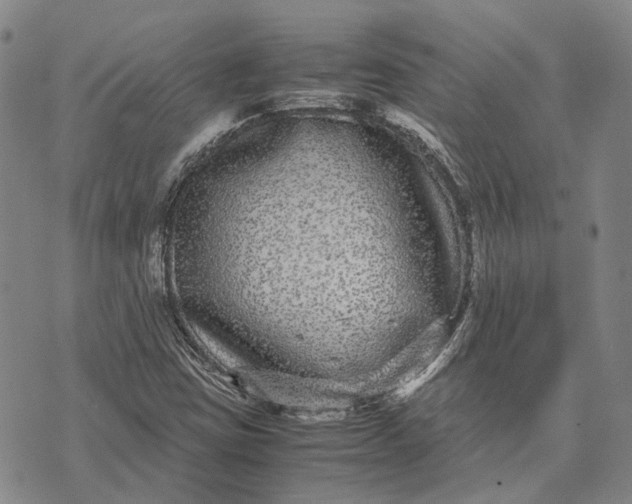 X0000070391403200606231726