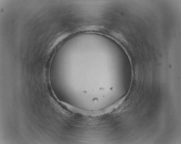 X0000070391404200606231726