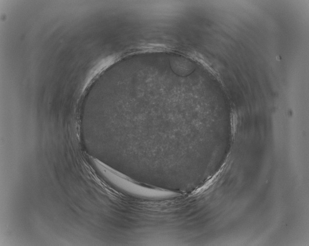 X0000070391405200606231726