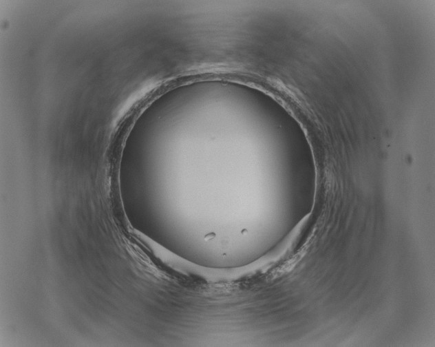 X0000070391406200606231726