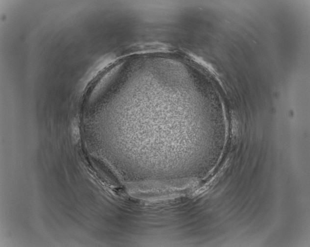 X0000070391407200606231726