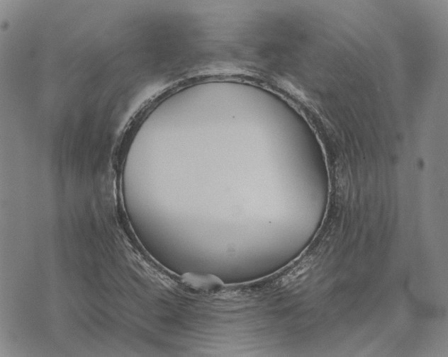 X0000070391408200606231726