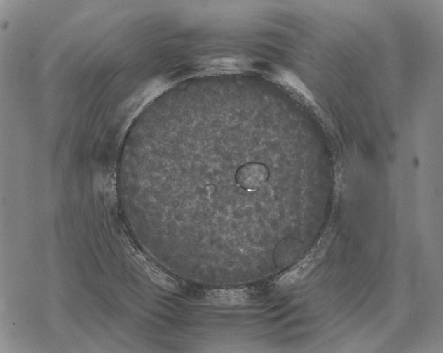 X0000070391409200606231726