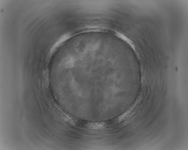 X0000070391411200606231726