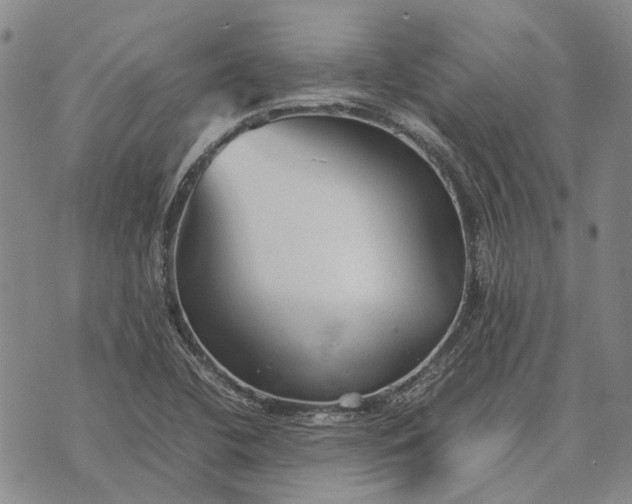 X0000070391412200606231726