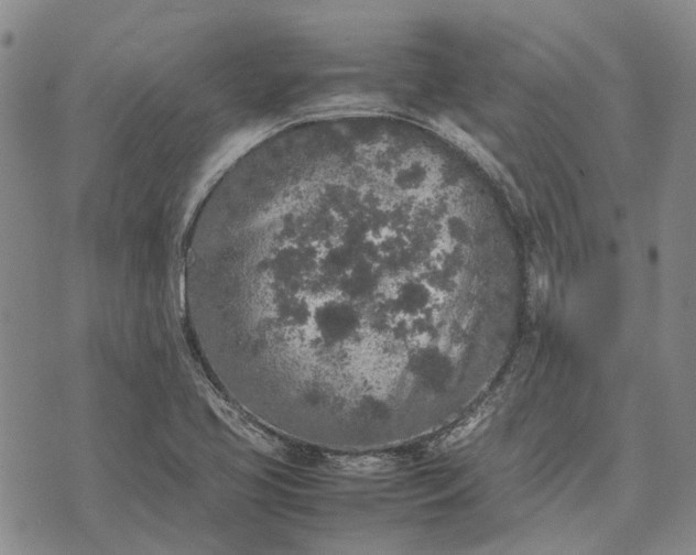 X0000070391413200606231726