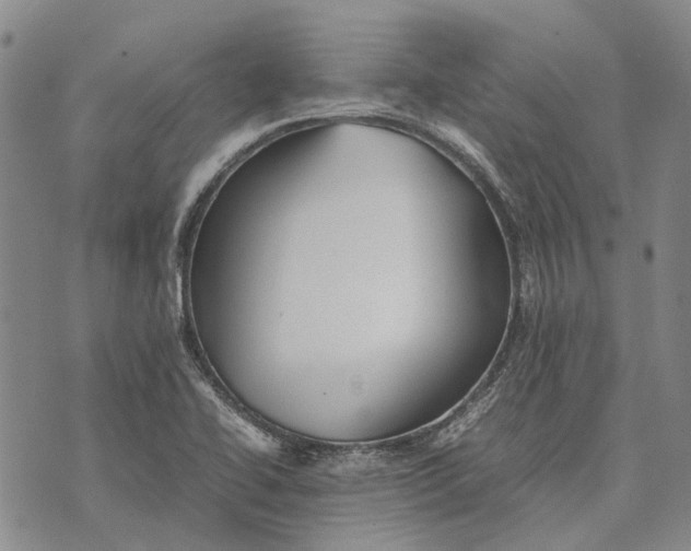 X0000070391414200606231726