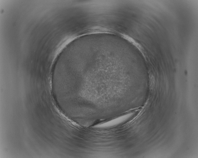 X0000070391415200606231726