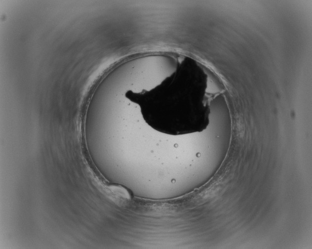 X0000070391416200606231726