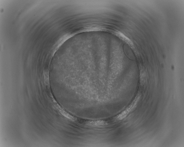 X0000070391417200606231726